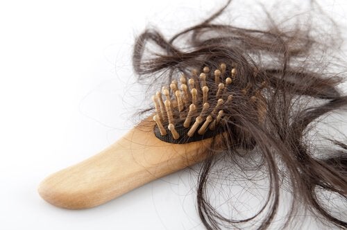 Link between Oily Scalp and Hair Loss