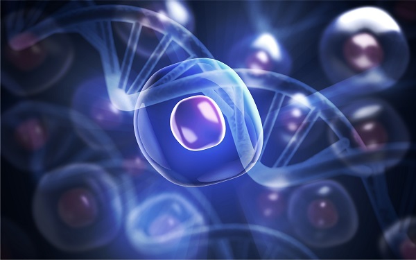 Things to Know About Stem Cell Treatment for Alopecia