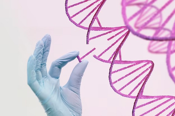What’s Stem Cell Treatment