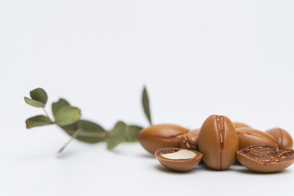 argan fruits before being turned into oil argan