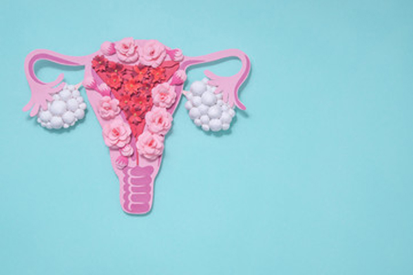 representation of the female reproductive system on a blue background