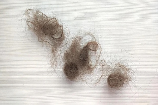 Shedding Effect