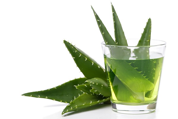 Benefits Of Aloe Vera on Your Hair