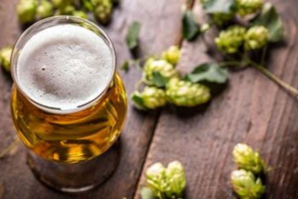 Herbal Hops and beer for hair