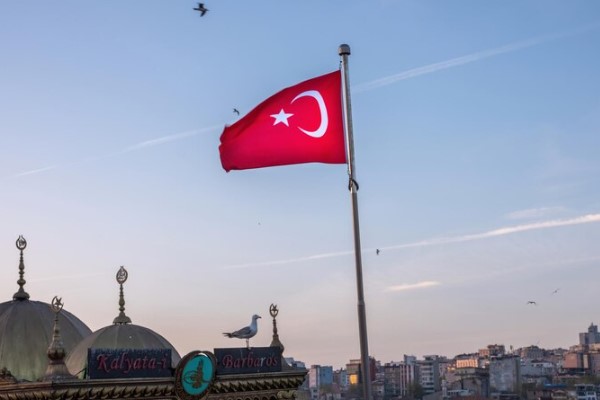 How much is a hair transplant in Turkey
